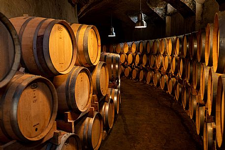 Cellar - Barrels - Wine